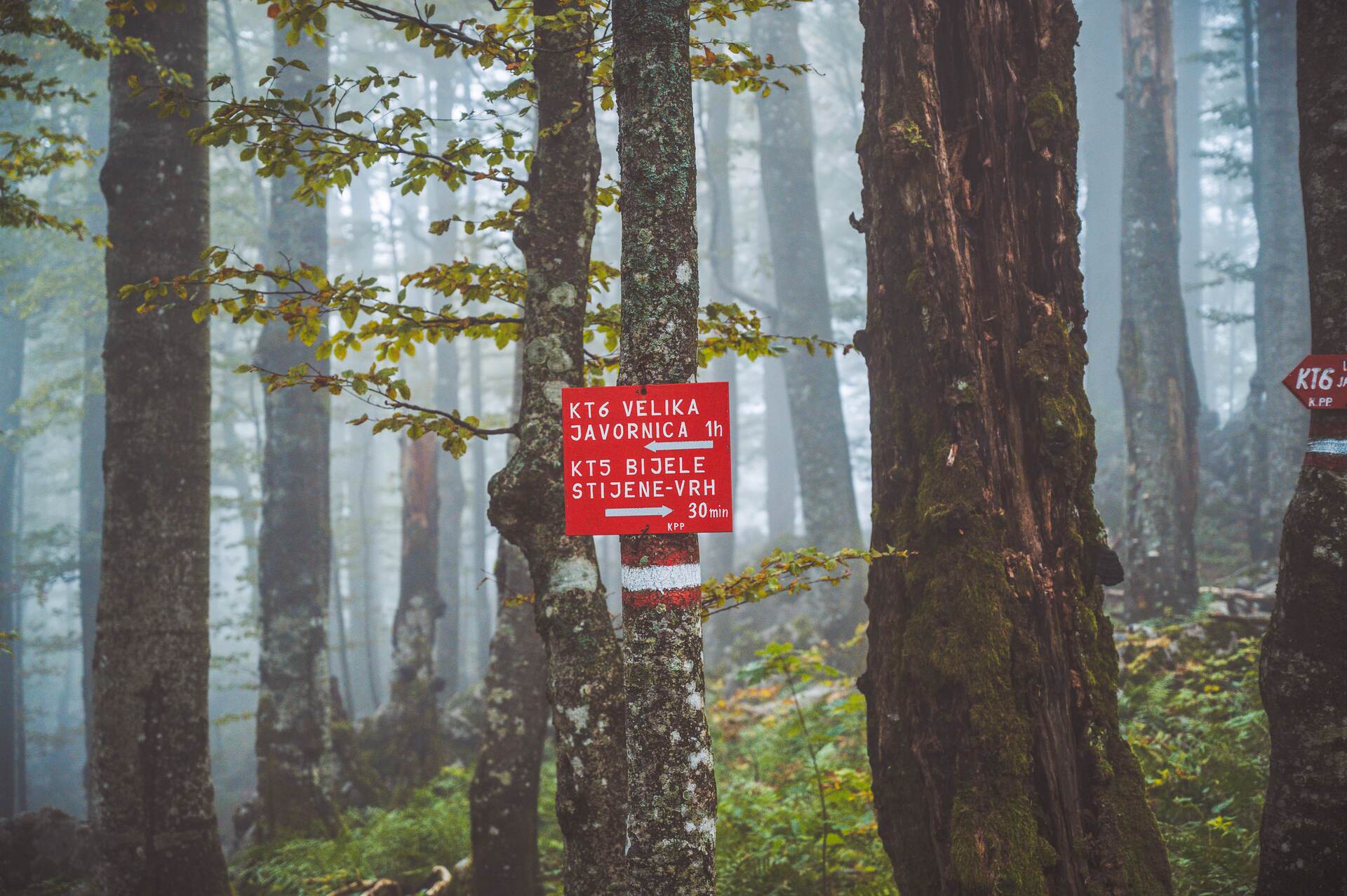 Bijele stijene-Mrkopalj-ljeto-Mario Jurina (100).jpg
