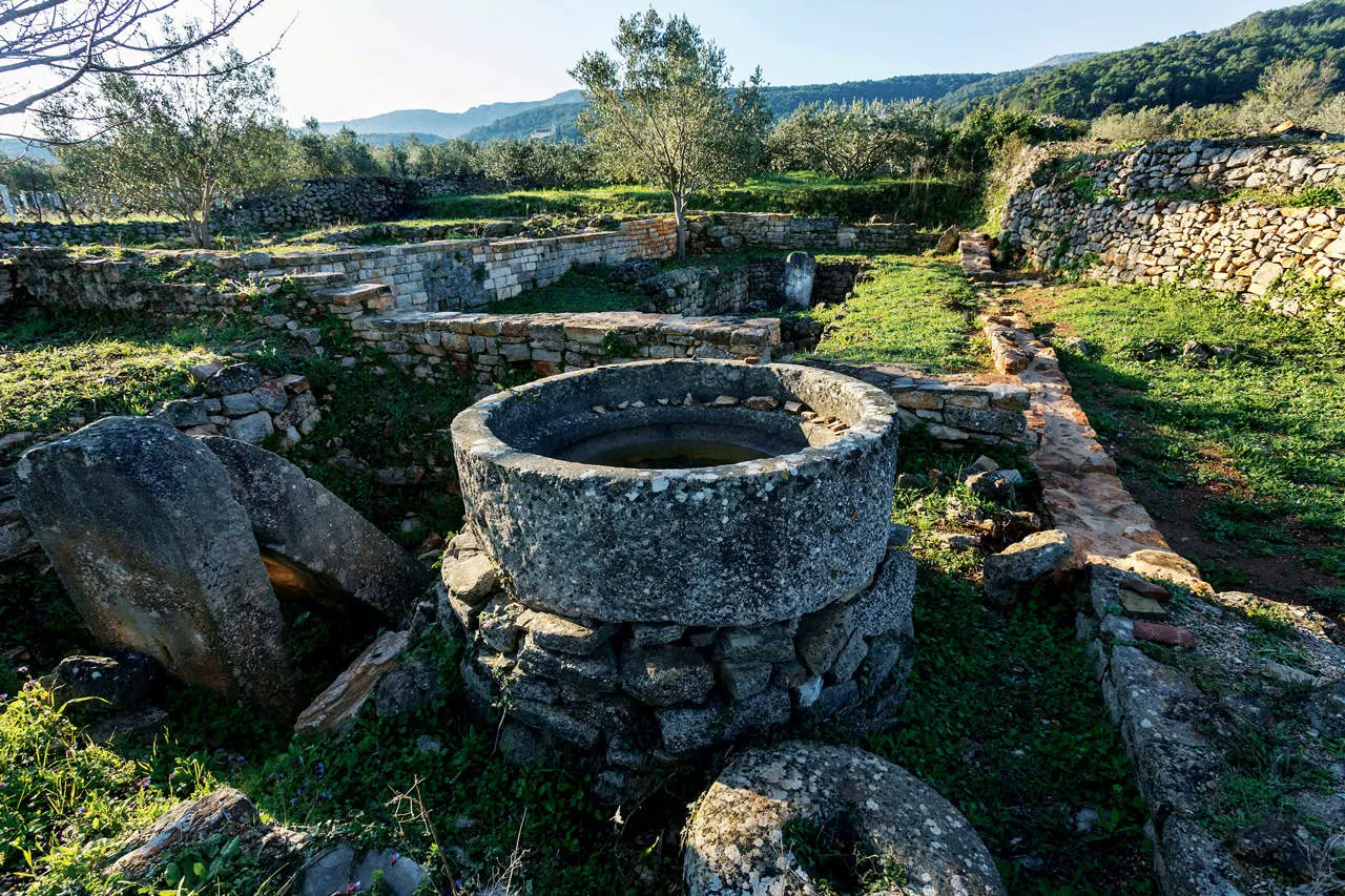 Starogradsko polje