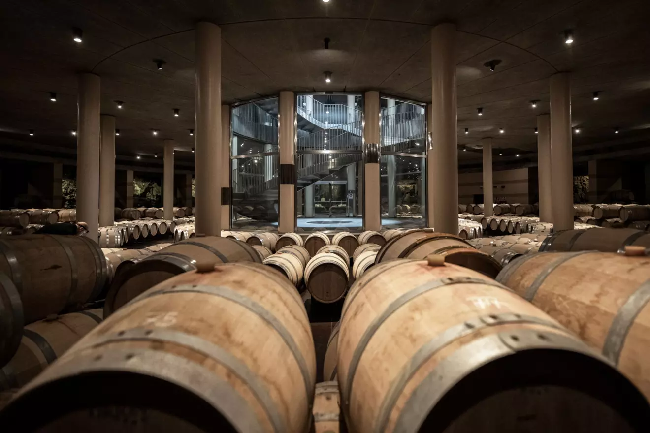 winery-architecture-Le-Mortelle-Barrel-room-03.jpg