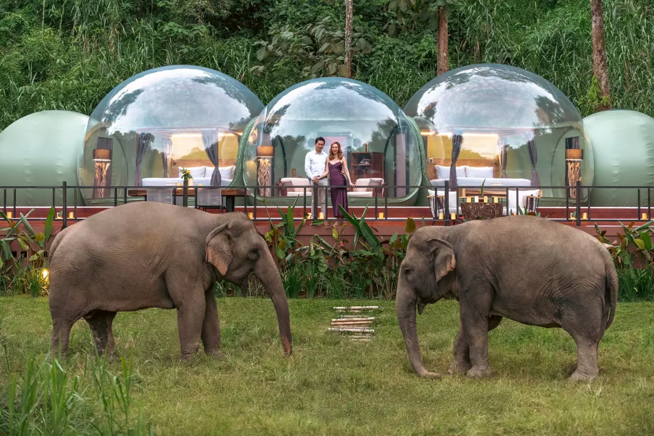Anantara-Golden-Triangle-Elephant-Camp-resort-Jungle-Bubble-with-Elephants-01.jpg