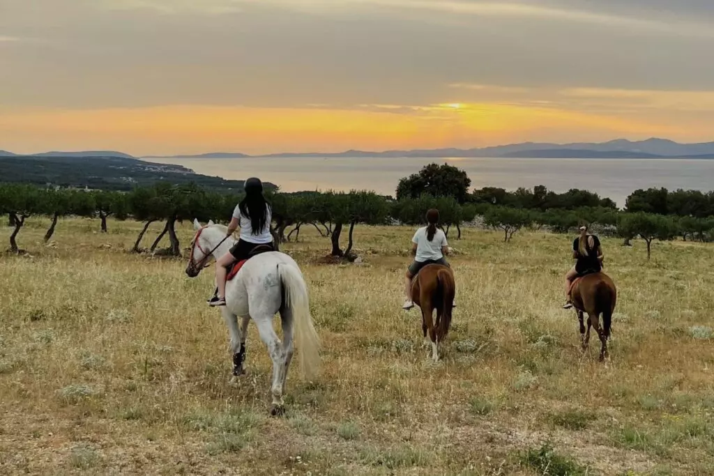 brač terensko jahanje