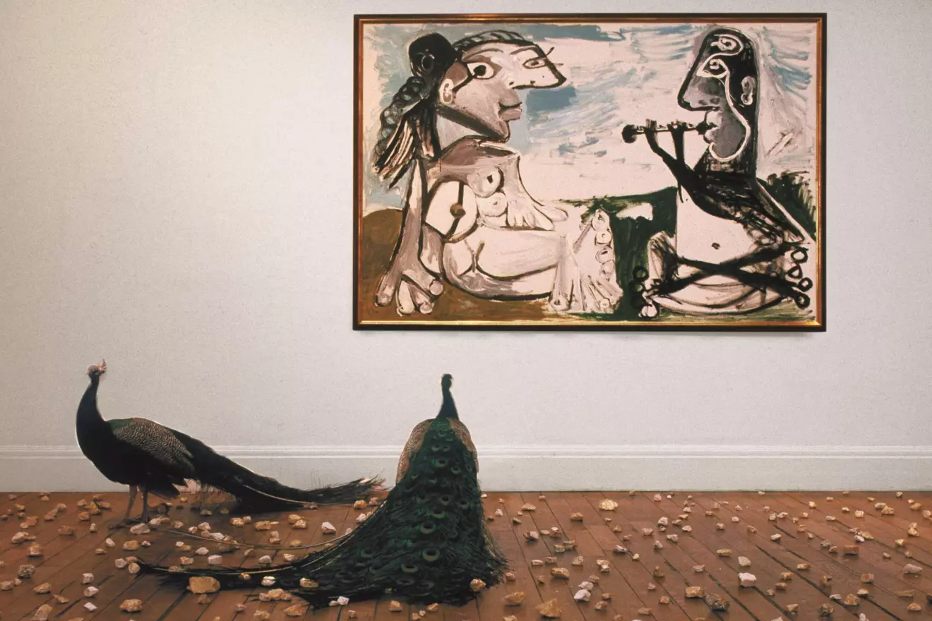 Braco-Dimitrijevic-1981-Waddington-Galleries-London.jpg