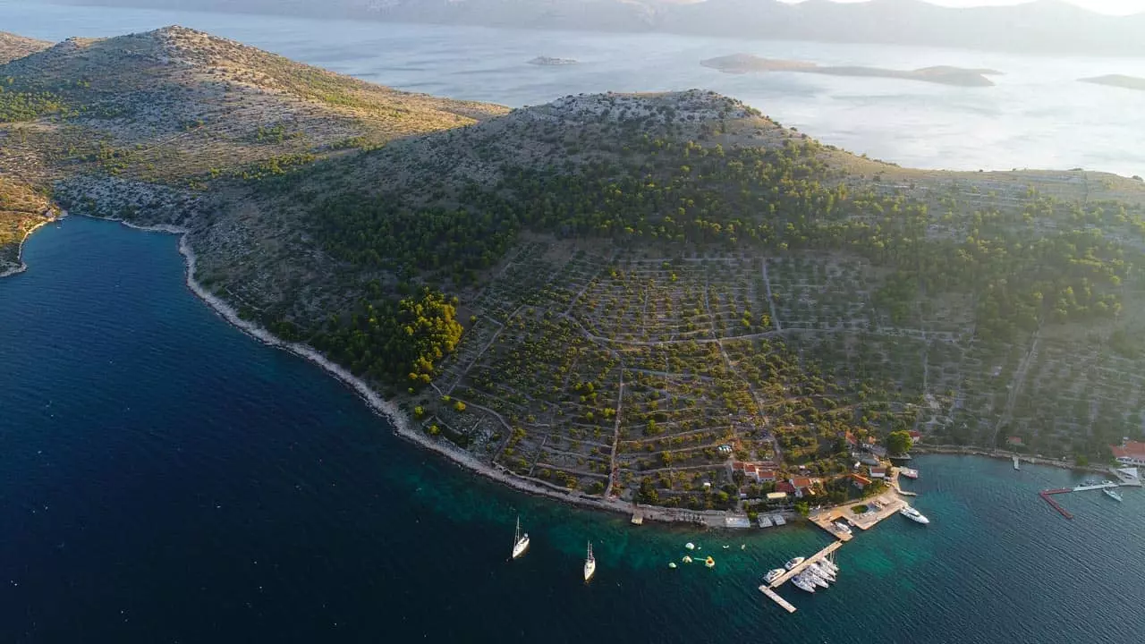 Ovo je fotografija Restoran Fešta otok Žut