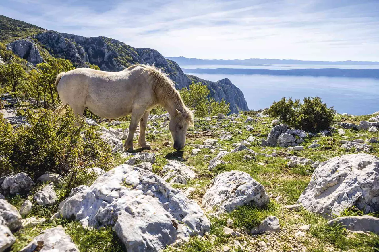 geopark-biokovo-06.jpg