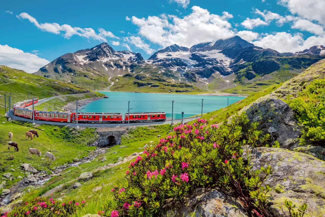 izleti-u-alpe-svicarska-bernina-express-11.jpg