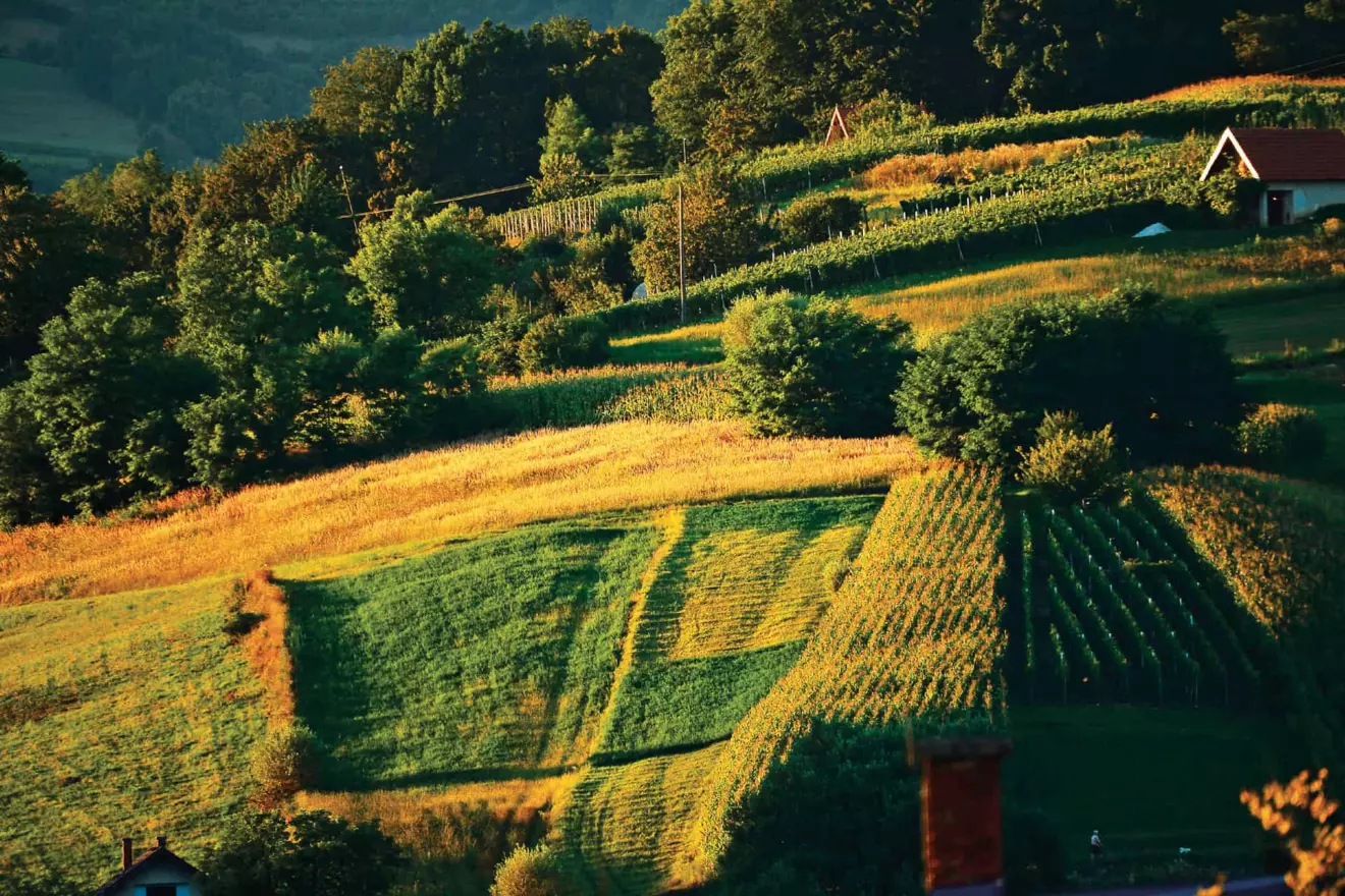 Hrvatsko Zagorje brežuljci