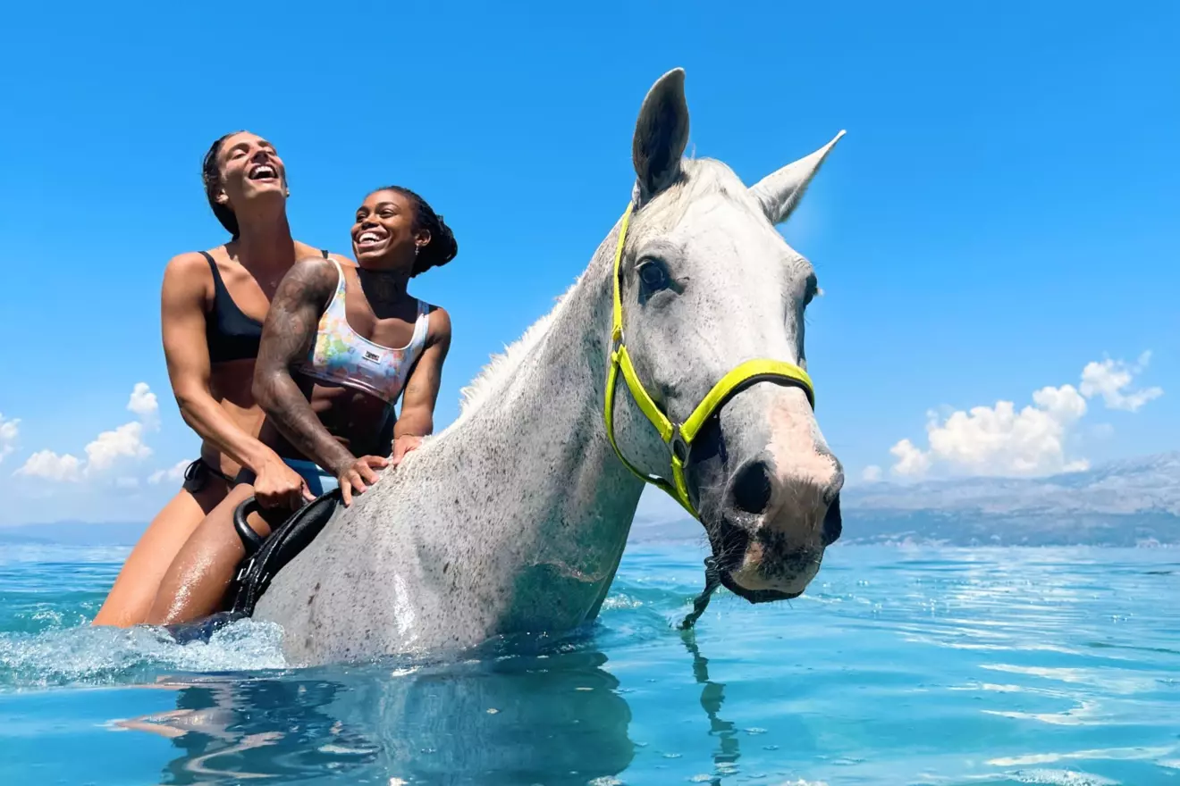 horse-swim-brac.jpg