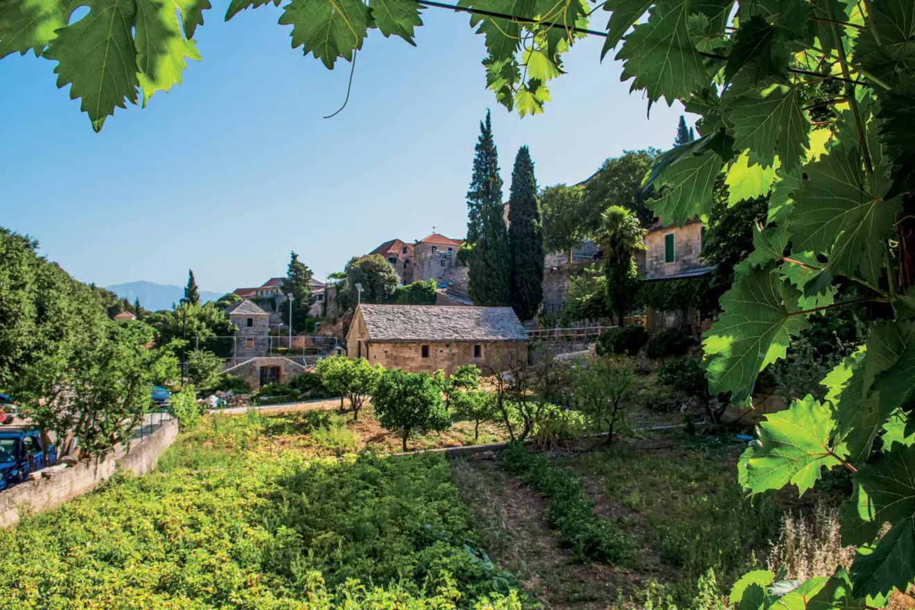 selo dol otok brač