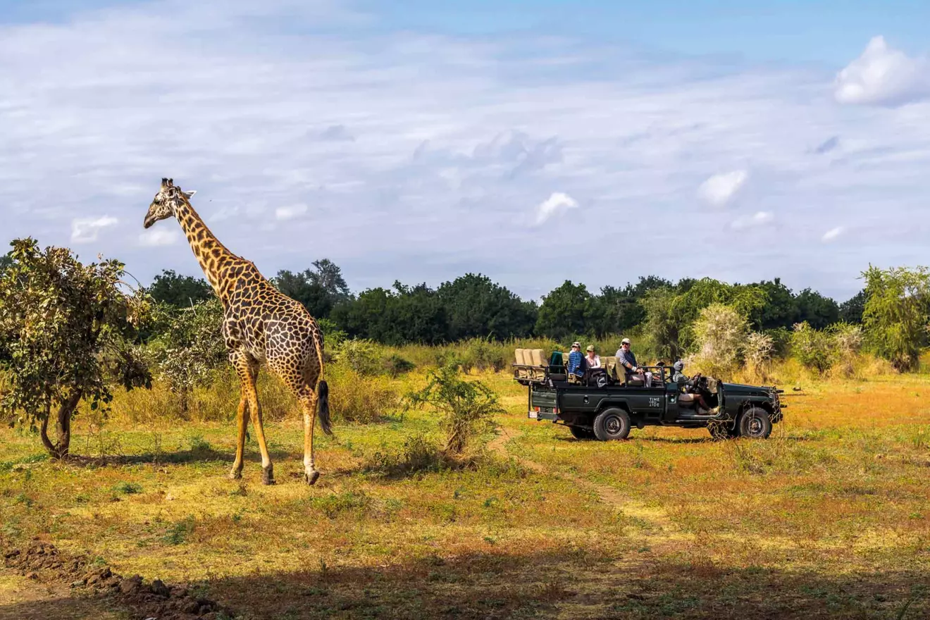 nacionalni park south luangwa zambija