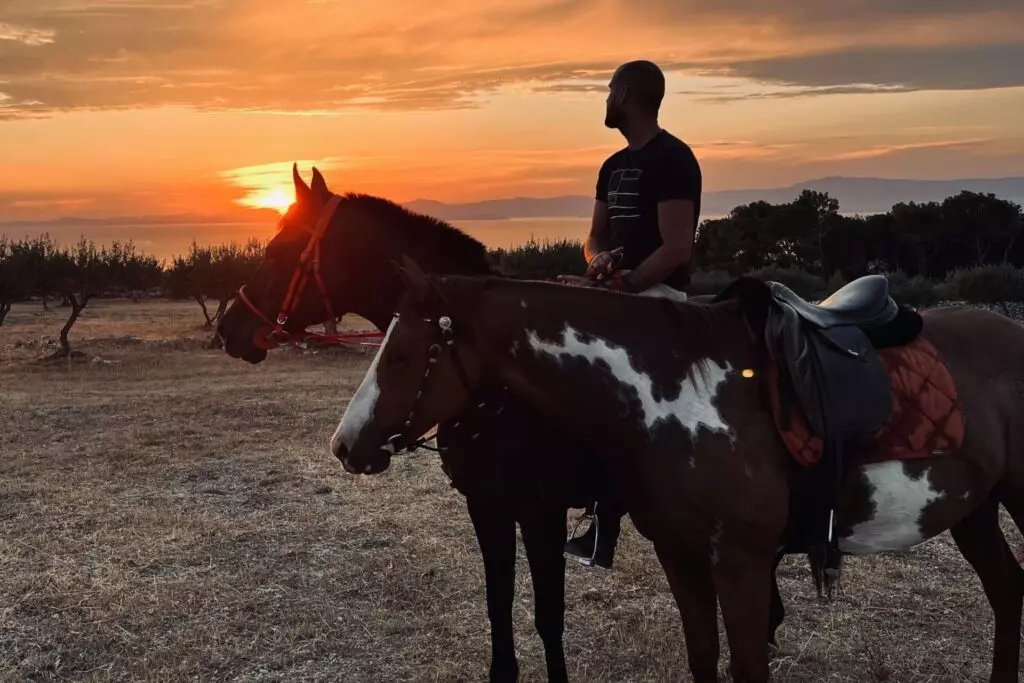 brač konji zalazak sunca