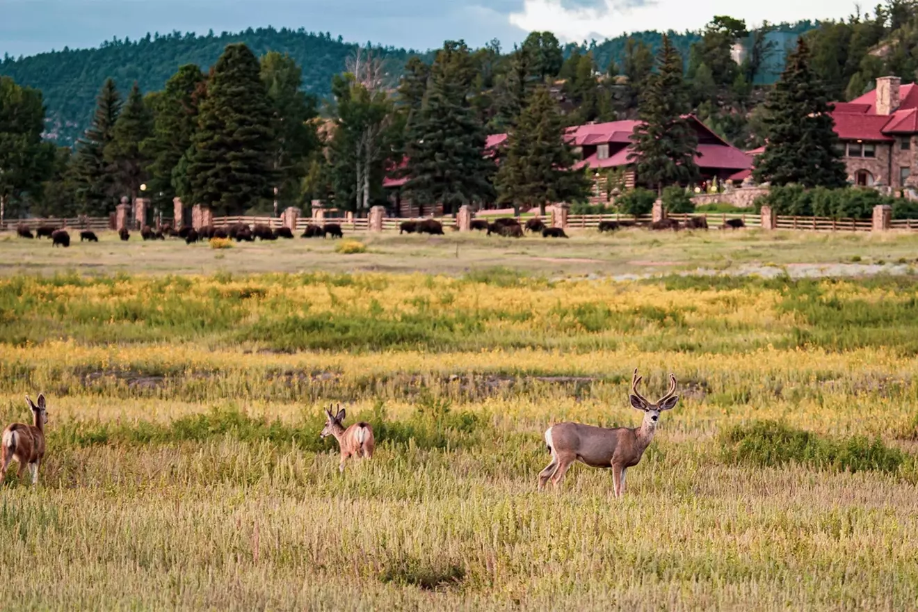 Vermejo-Ted-Turner-Reserve-luksuzno-imanje-01.jpg