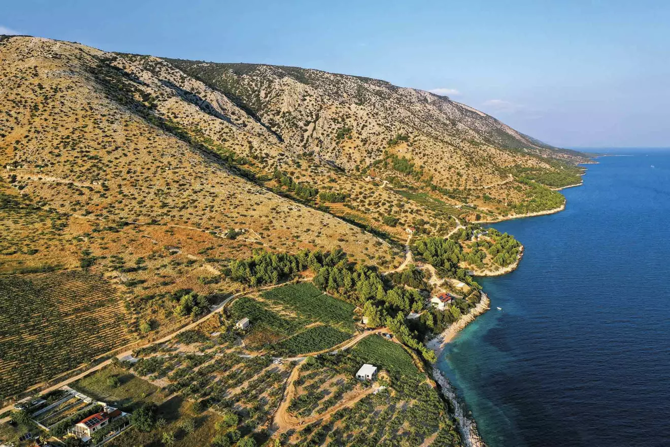 Brac-00.jpg
