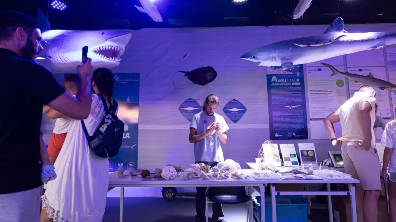 ocean race europe - oceanska soba.jpg