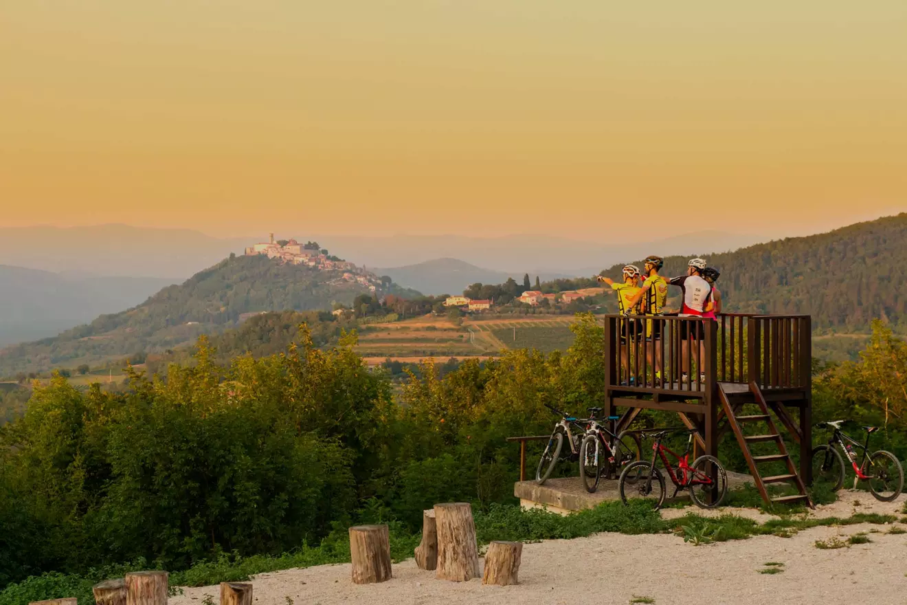 motovun-sume.jpg
