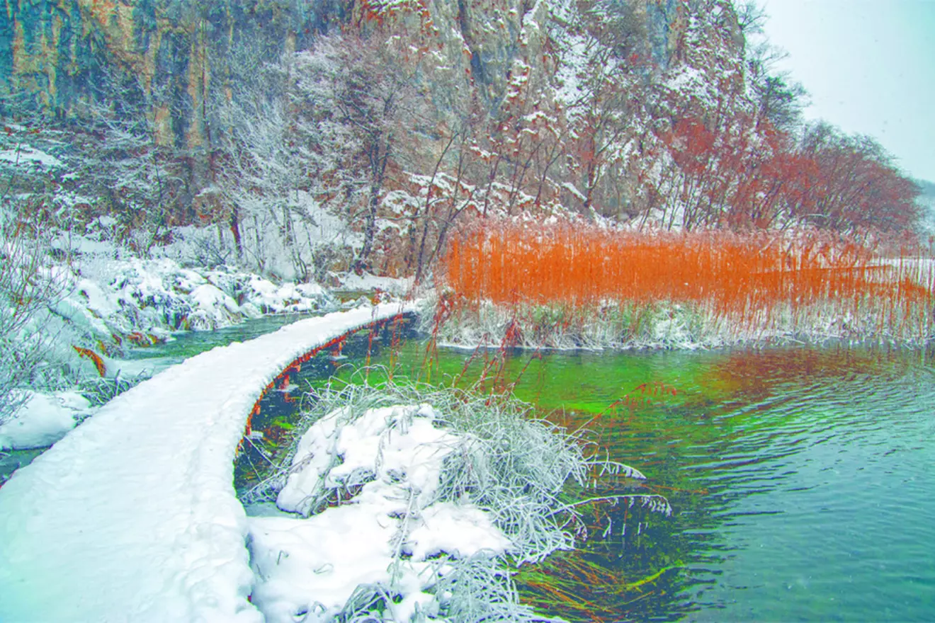 Snijegom prekrivena drvena šetnica koja vijuga kroz smrznuti krajolik na Plitvičkim jezerima.
