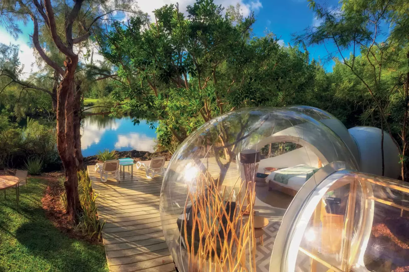 Ovo je fotografija bubble lodge