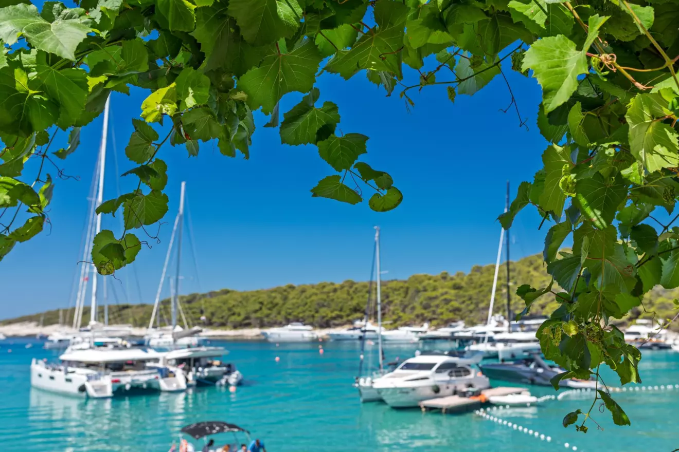 pakleni-vinogradisce ancorage.jpg