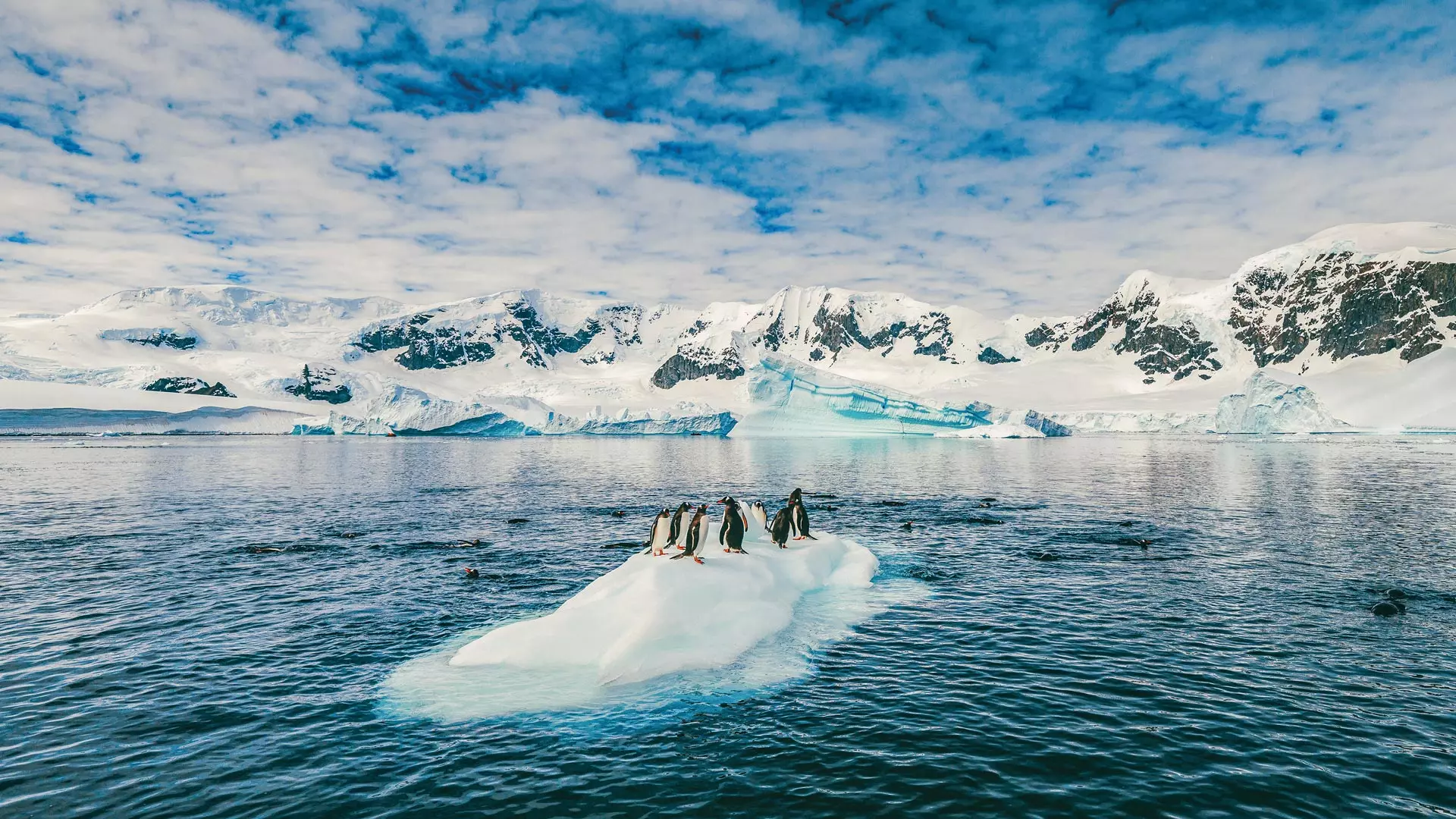 Putovanja u srce divljine: Luksuzne avanture izvan poznatih ruta