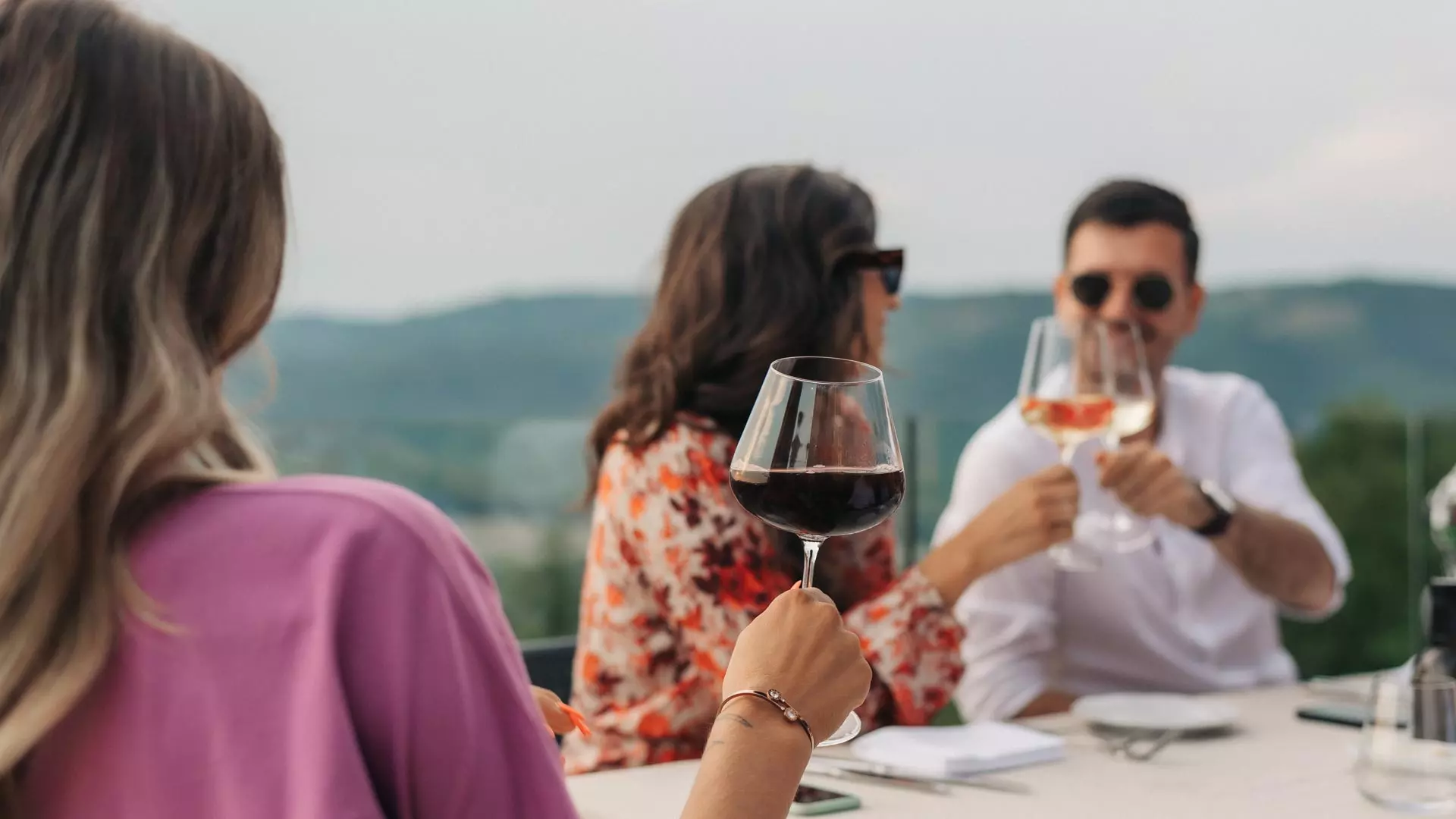 Hrvatske vinarije: Putevima kvalitetne kapljice