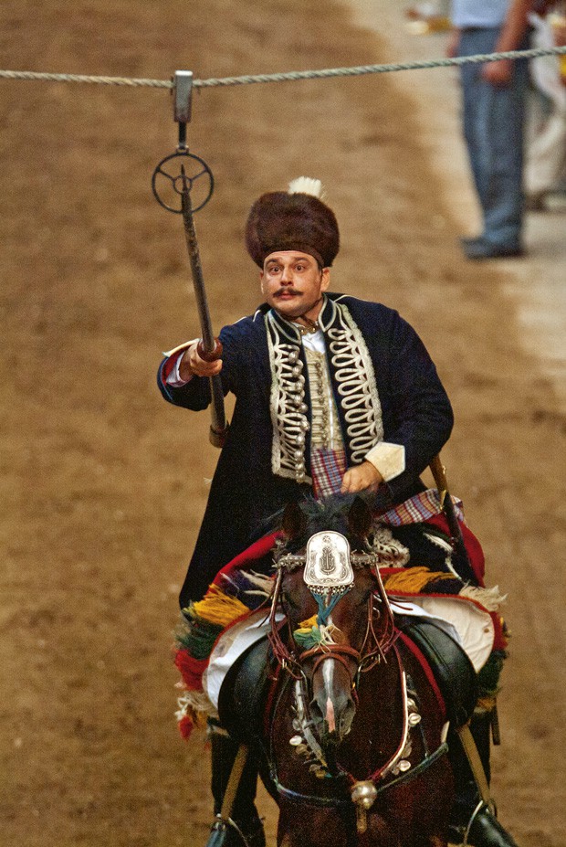 Slavodobitnik Alke