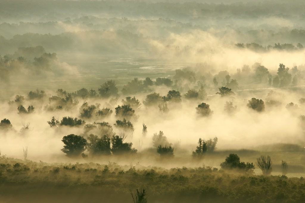 Ovo je fotografija park prirode Kopački rit