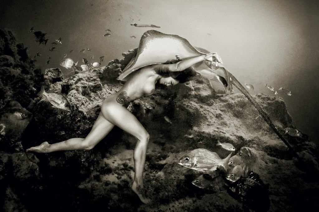 Underwater Photo Marathon