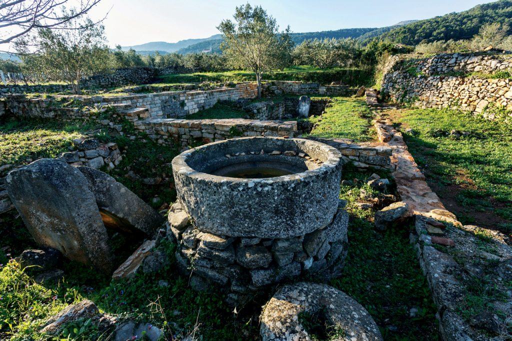 Starogradsko polje