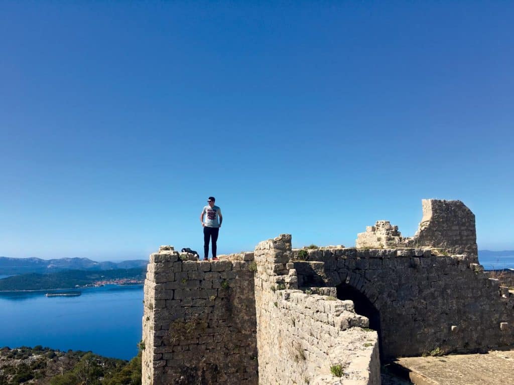 Olive Island Tour
