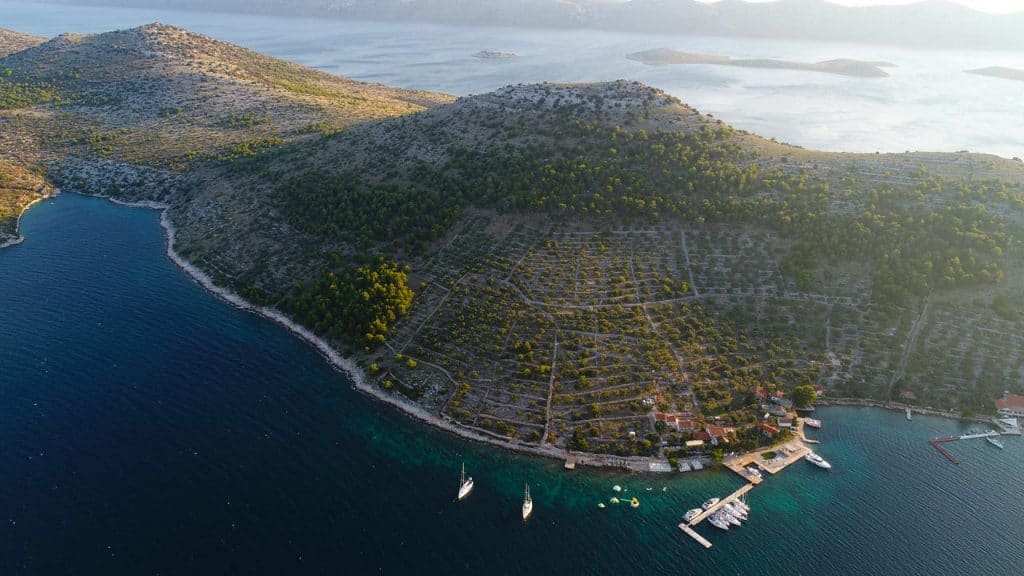 Ovo je fotografija Restoran Fešta otok Žut