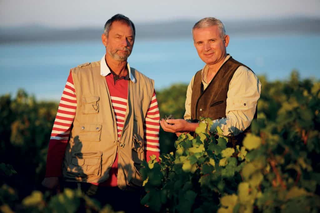 Kraljevski Vinogradi