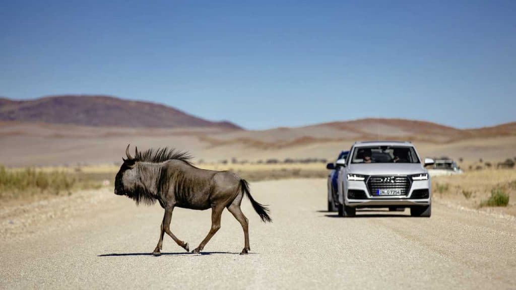 Q7