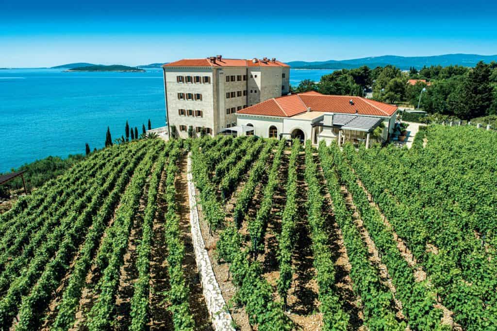 Winery Korta Katarina