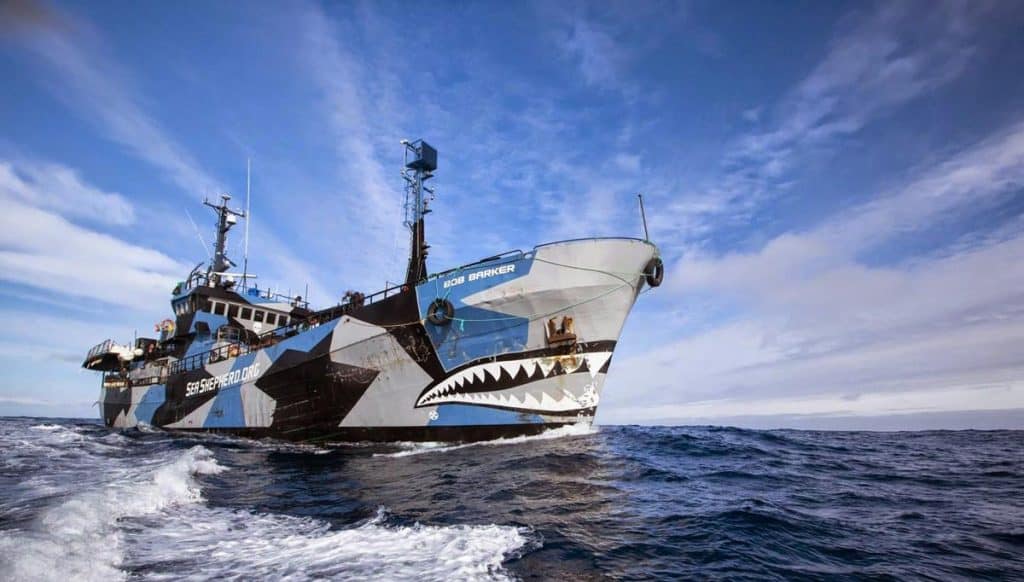 Sea Shepard 04