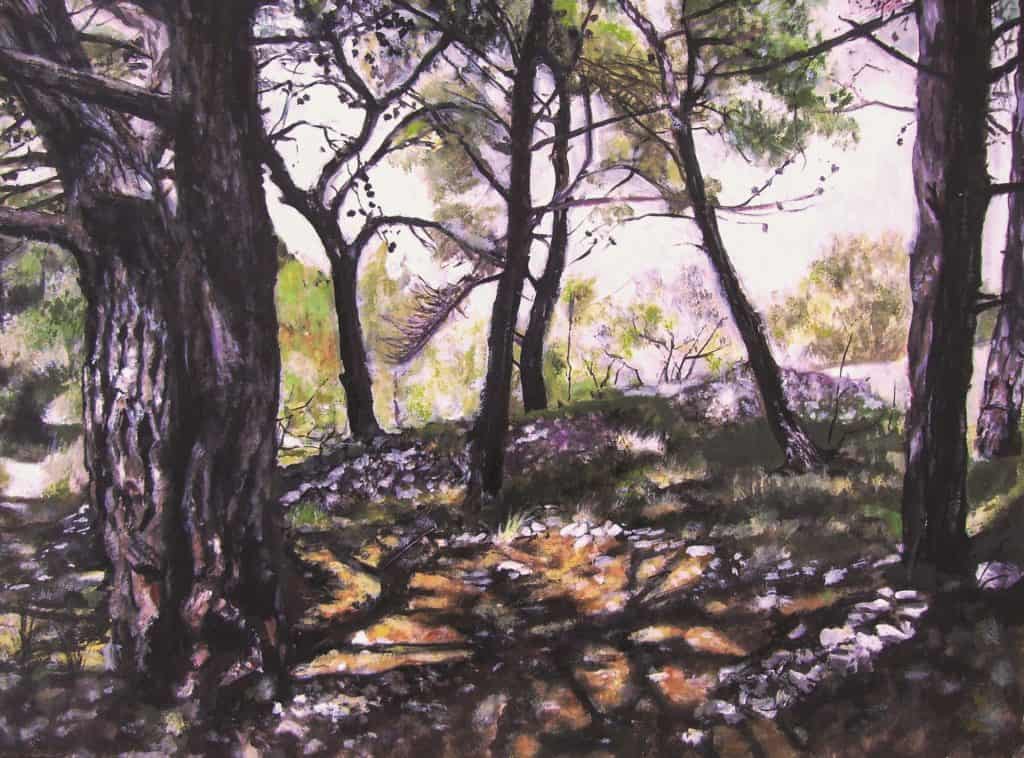 Dario Vukorepa Borov Sumarak 01