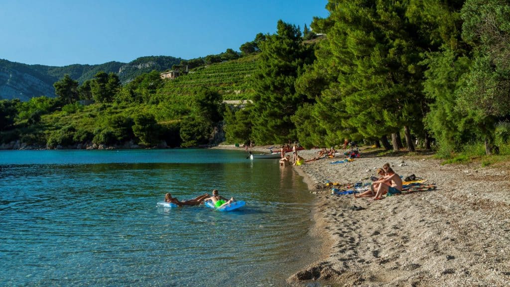 Vucine Cove 01