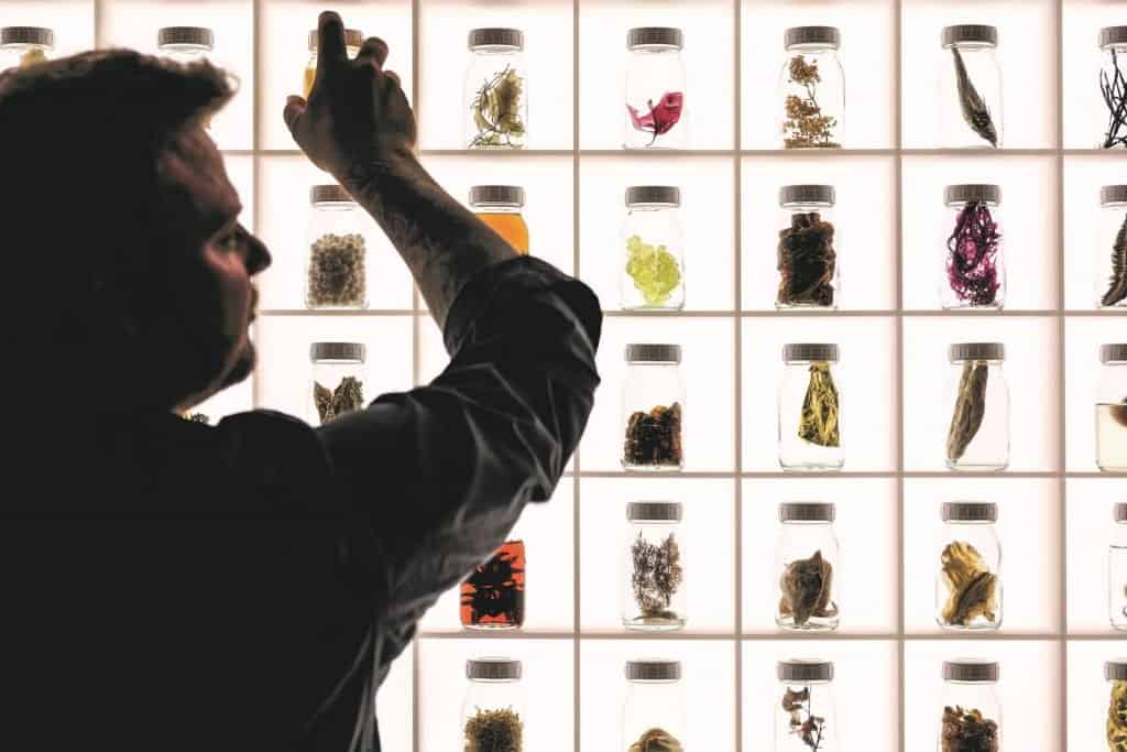 Alchemist Tastewall 01