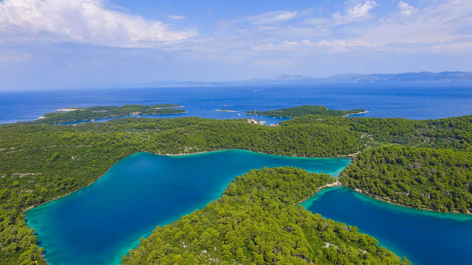 mljet