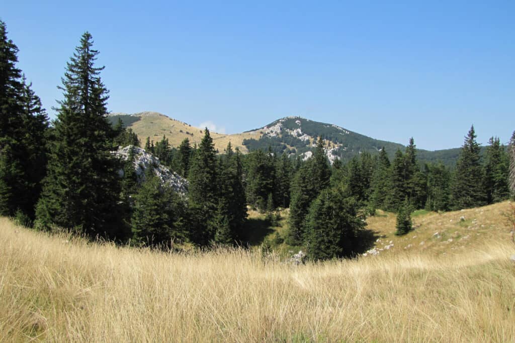 Ovo je fotografija Nacionalni park Sjeverni Velebit