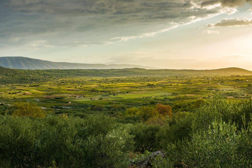 Ovo je fotografija starogradsko polje