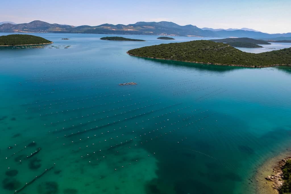 Ovo je fotografija uzgajališta kamenica, Pelješac