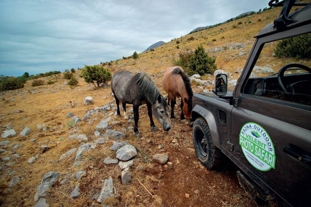 Ovo je fotografija jeep safari Velebit