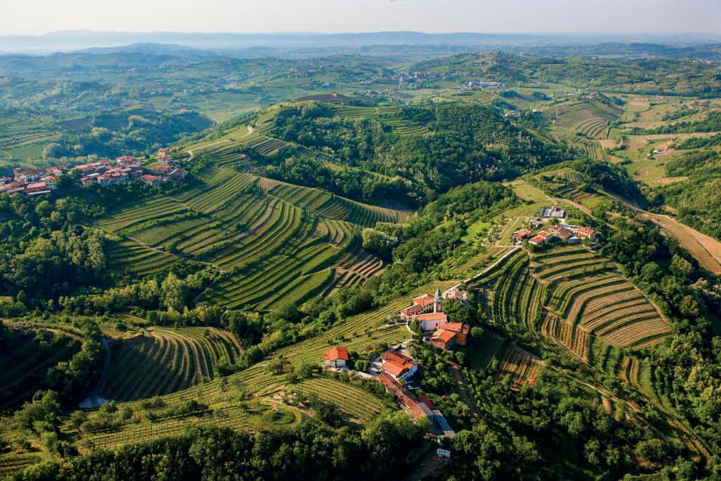 Ovo je fotografija vinograda, Goriška Brda