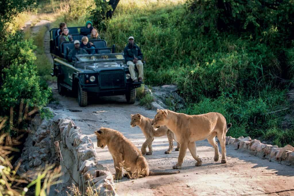 Ovo je fotografija safari u Africi daleka i egzotična putovanja