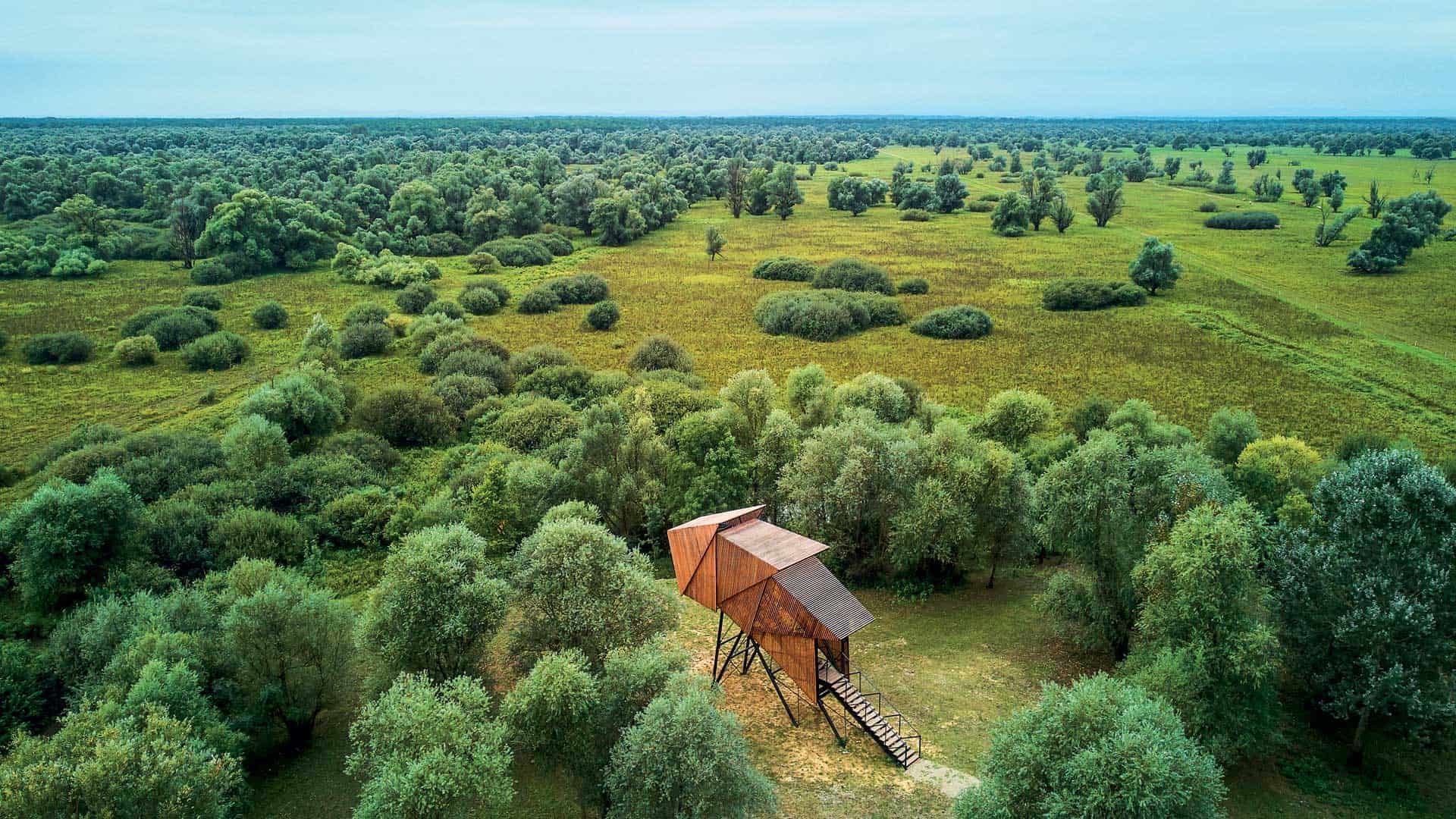 Park prirode Lonjsko polje vidikovac