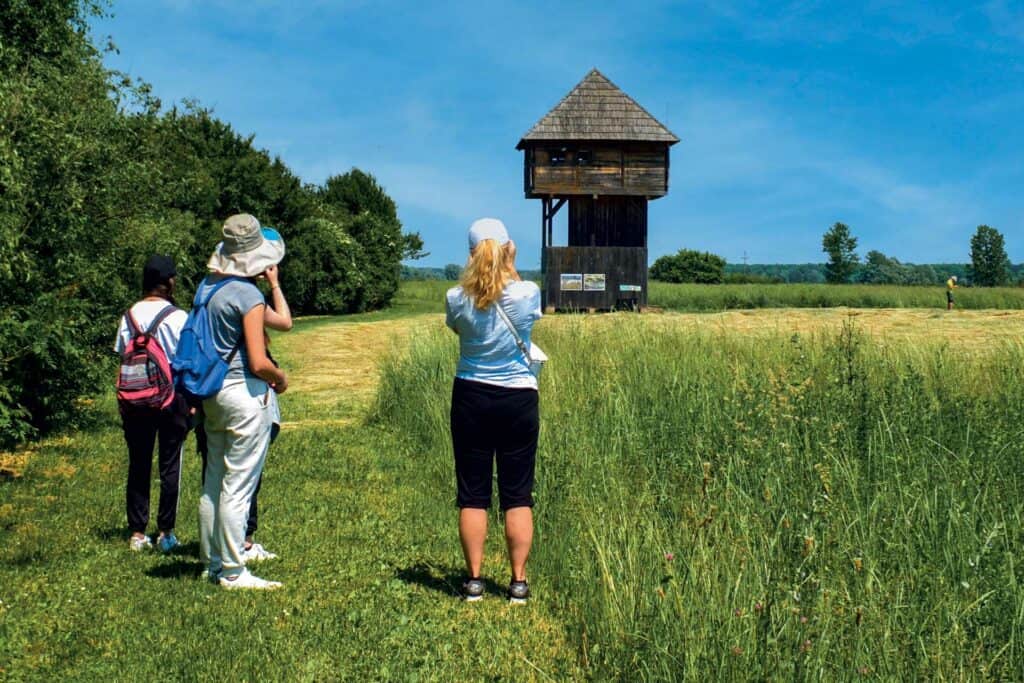 Park prirode Lonjsko polje vidikovac