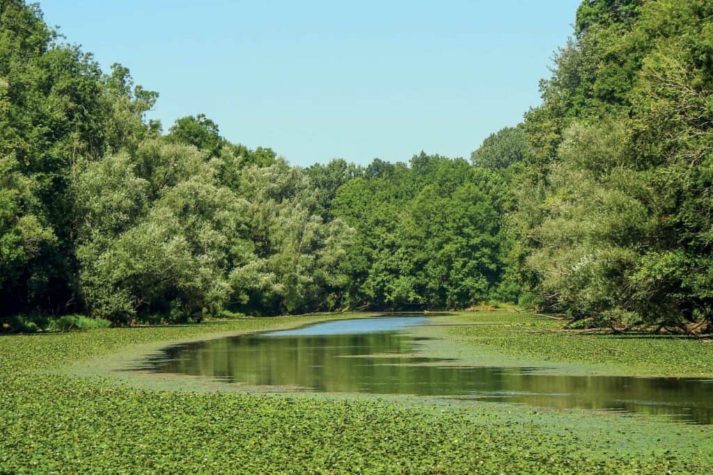 Park prirode Lonjsko polje 