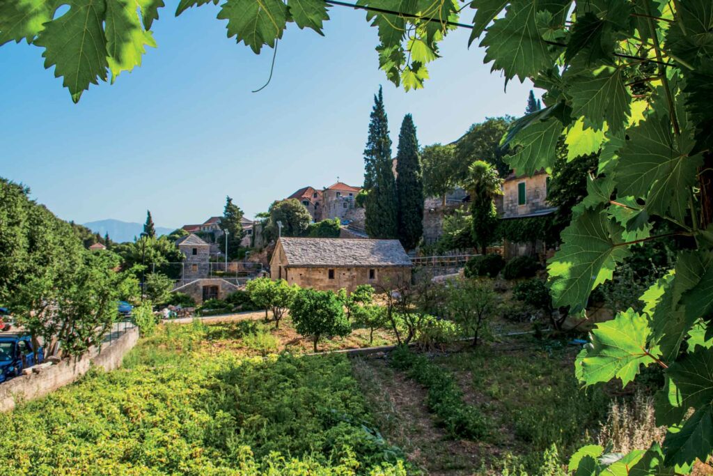 selo dol otok brač