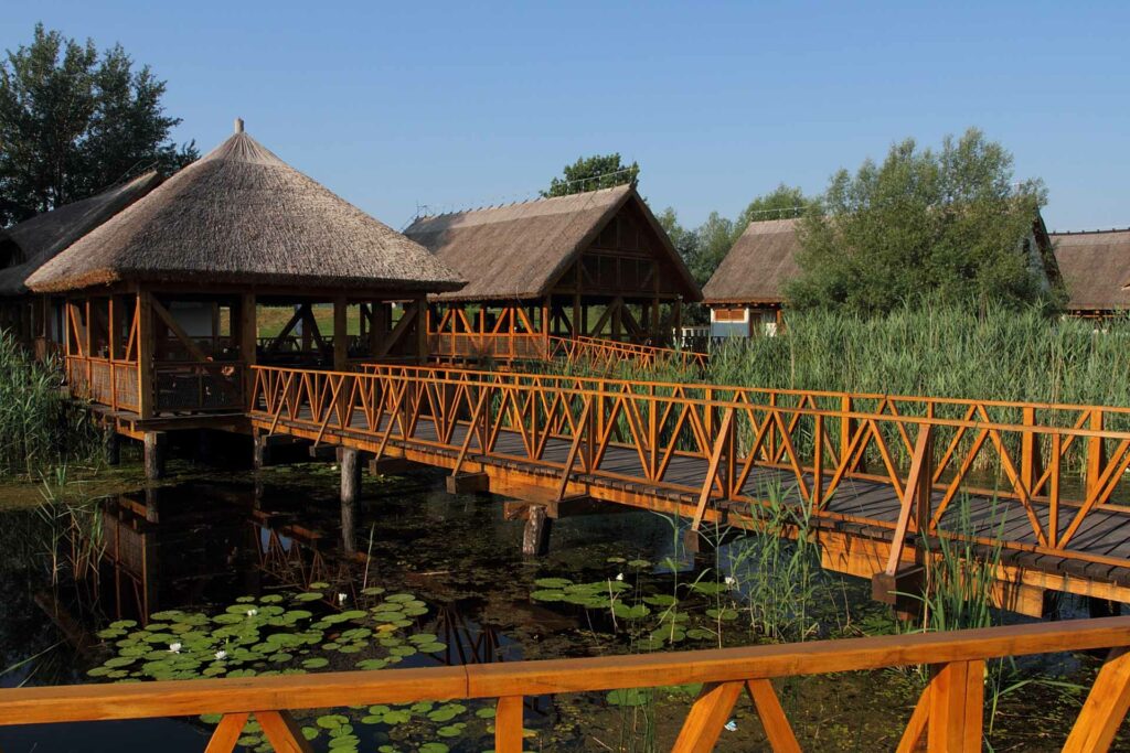 izleti u hrvatskoj park prirode kopački rit