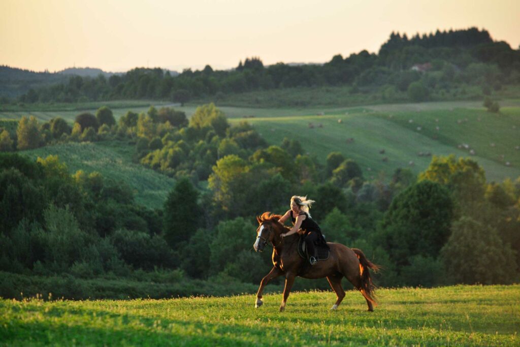 izleti u hrvatskoj ranch terra 