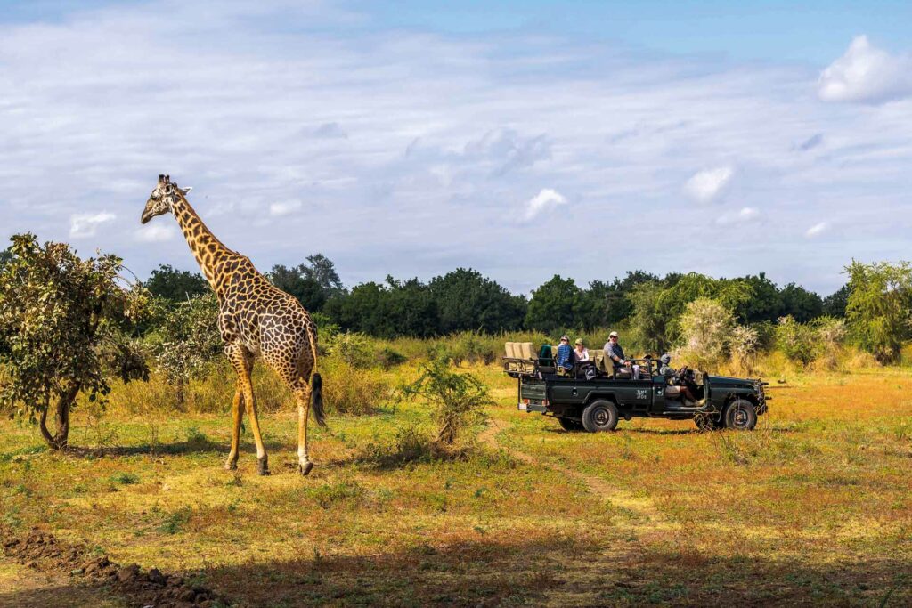 nacionalni park south luangwa zambija